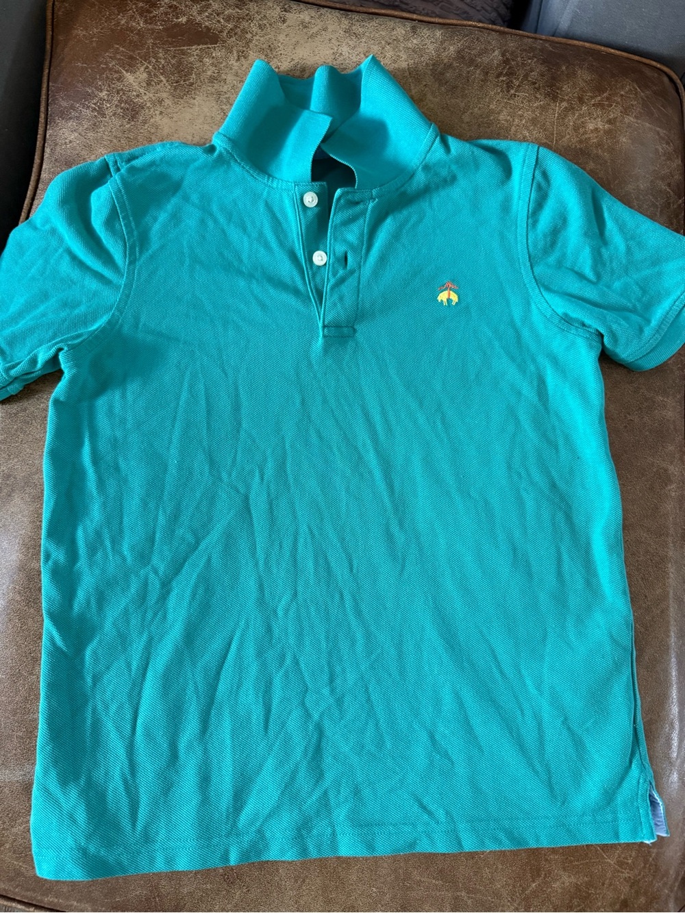 Brooks Brothers Boys Teal Polo Shirt